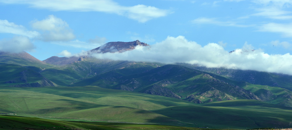 DSC_6429.JPG