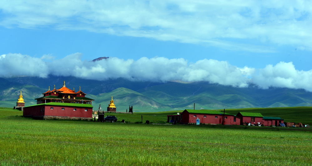 DSC_6431.JPG