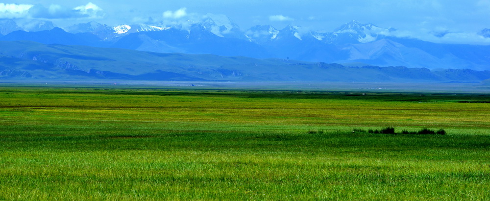 DSC_6434.JPG