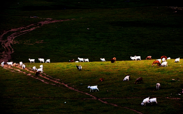 _MG_62641__.jpg