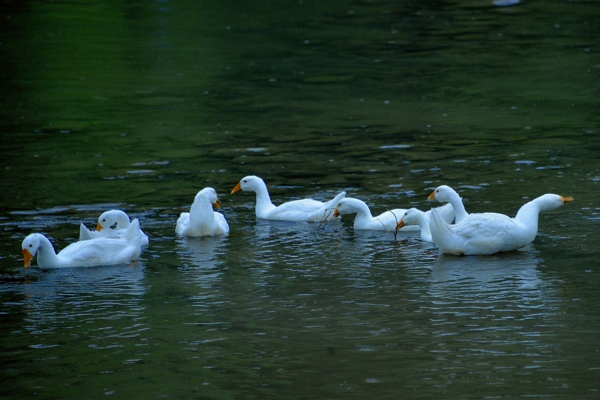 _DSC6312f.jpg