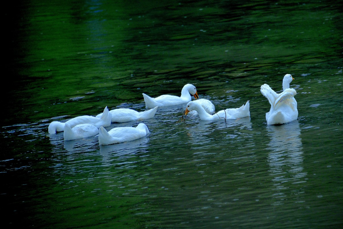 _DSC6313f.jpg