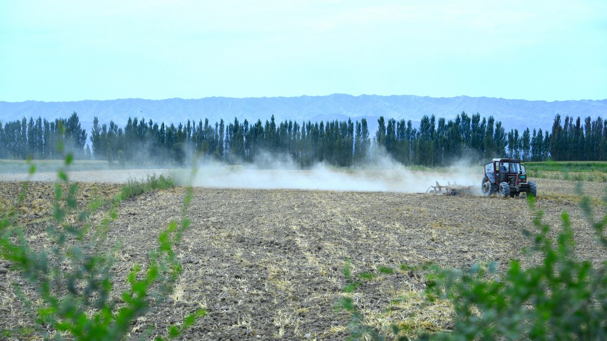_DSC7194f.jpg