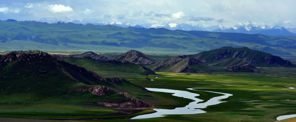DSC_6443.JPG