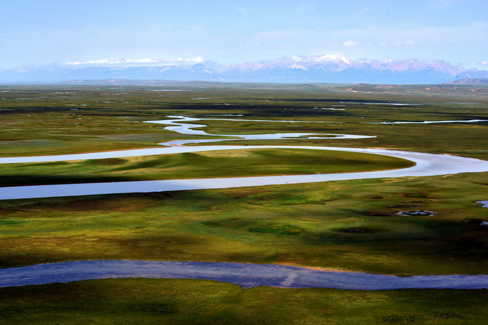 DSC_6445.JPG