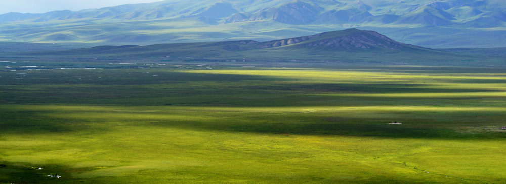 DSC_6496.JPG