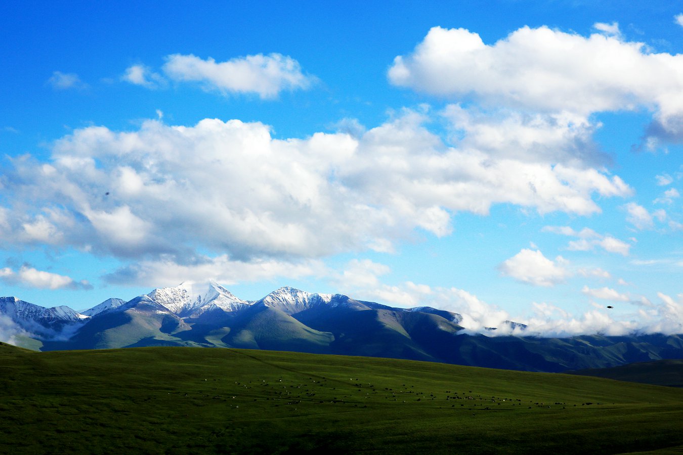 479A12332_1.jpg