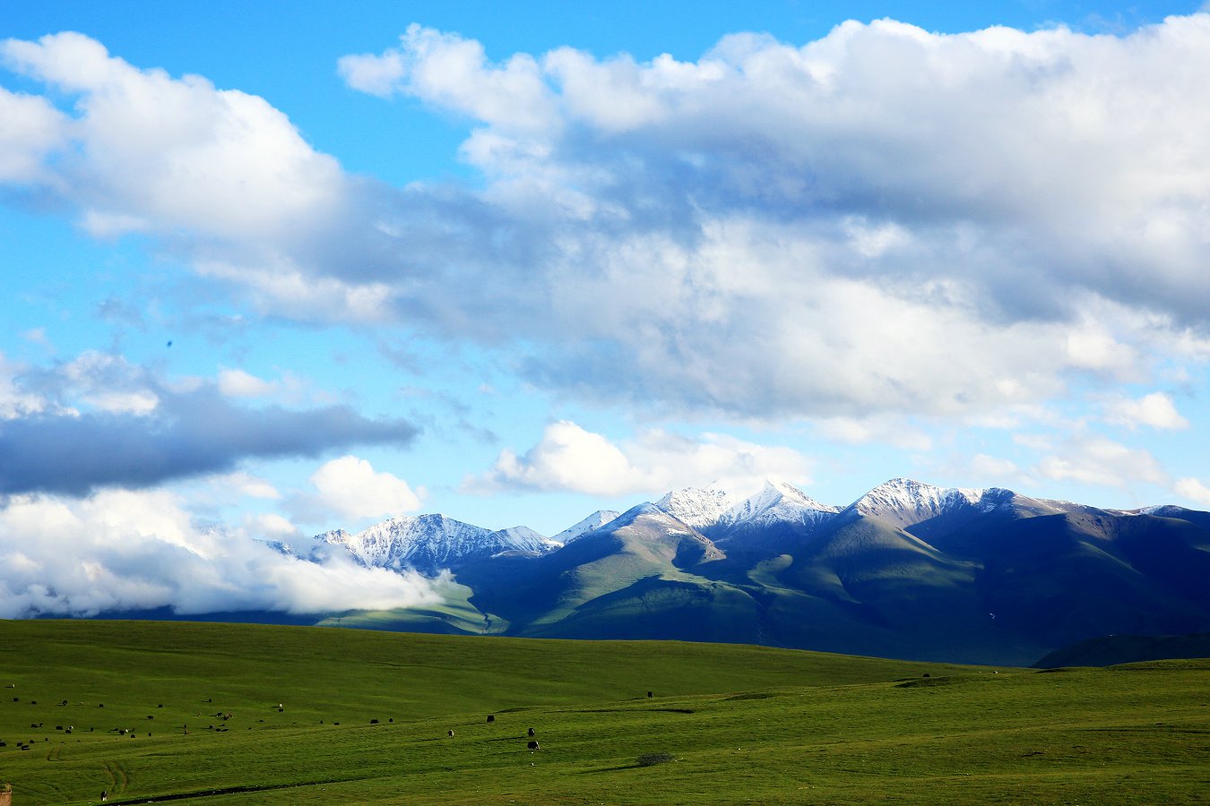479A12542_1.jpg