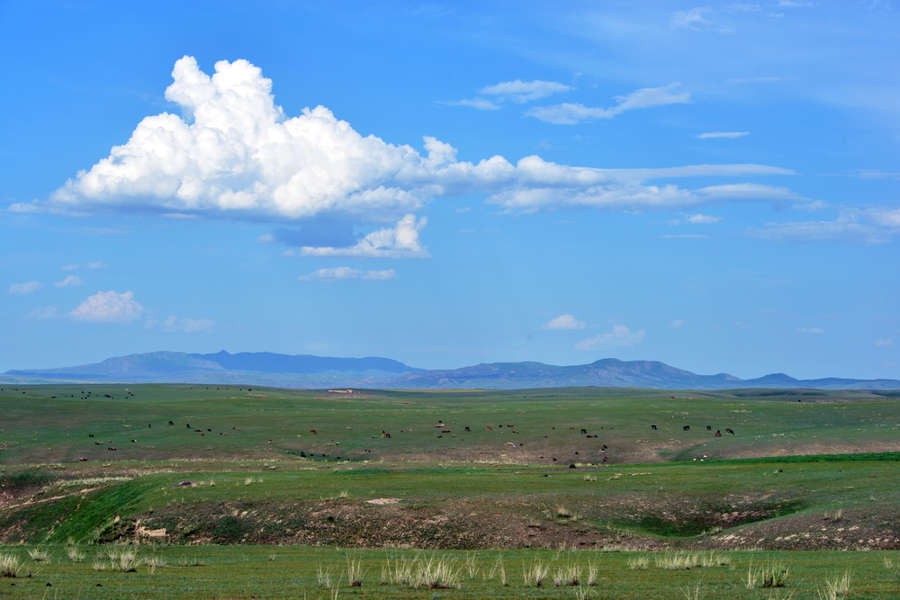 DSC_5490.JPG