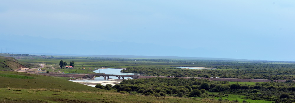 DSC_5496.JPG
