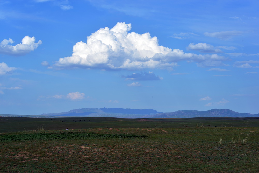 DSC_5502.JPG