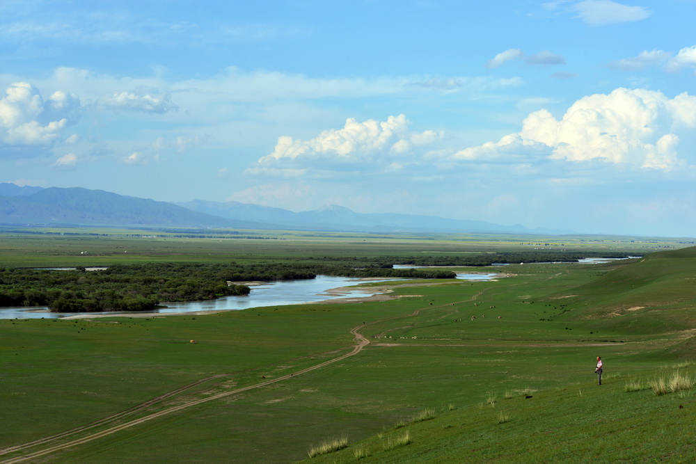 DSC_5513.JPG