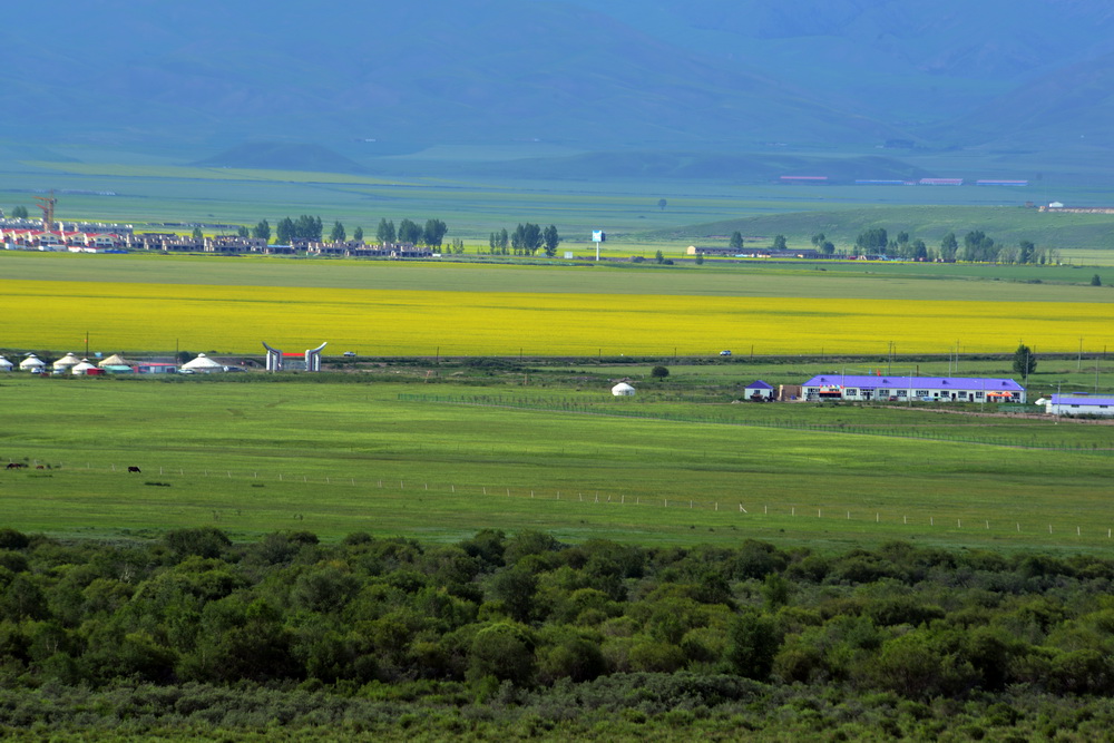 DSC_5504.JPG