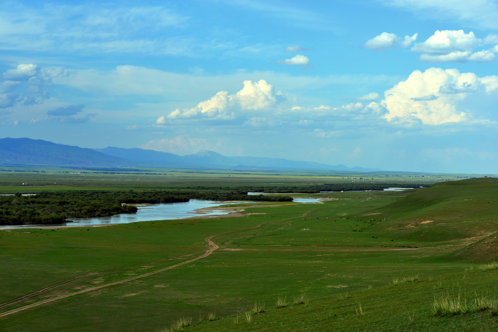 DSC_5527.JPG