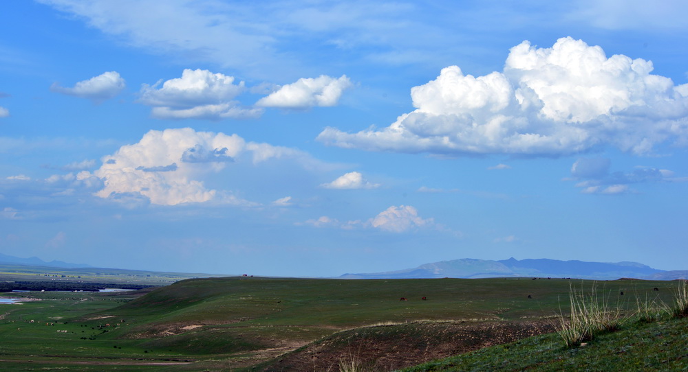 DSC_5528.JPG