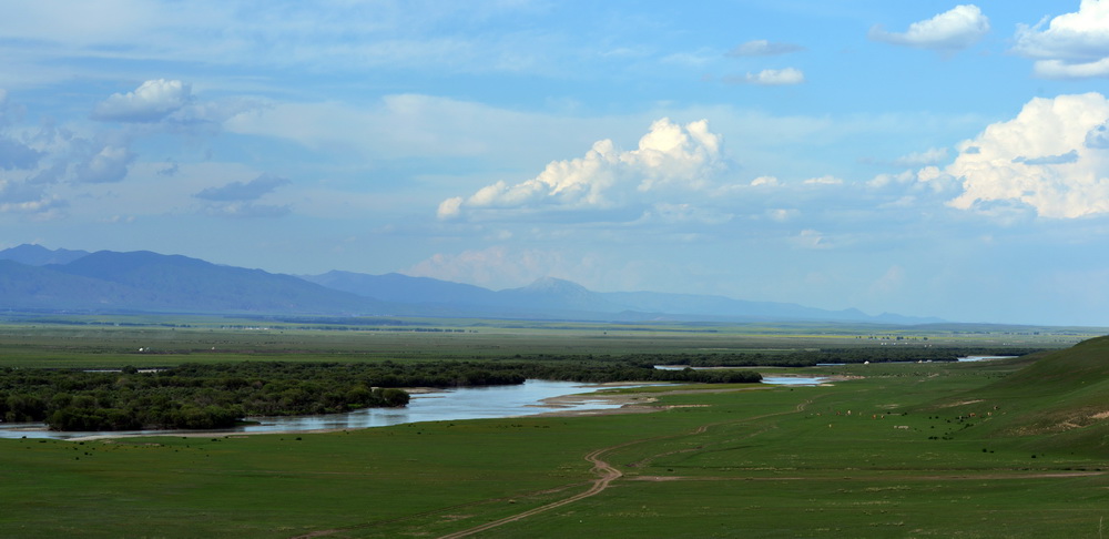 DSC_5529.JPG