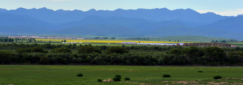 DSC_5532.JPG