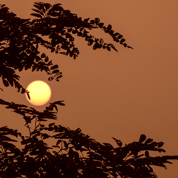 2014730Ƭ a01112.jpg