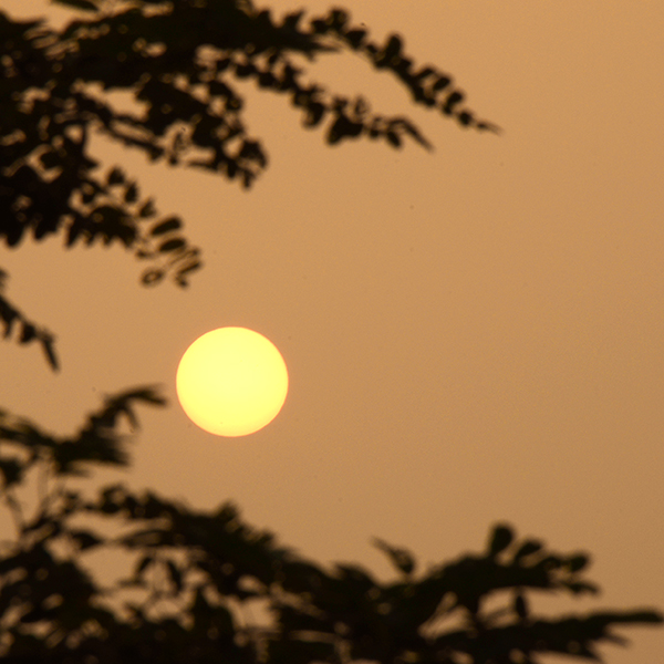 2014730Ƭ a00412.jpg