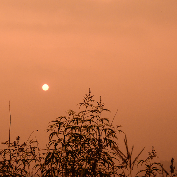 2014730Ƭ a01212.jpg