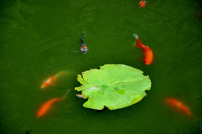 DSC_0003_.jpg