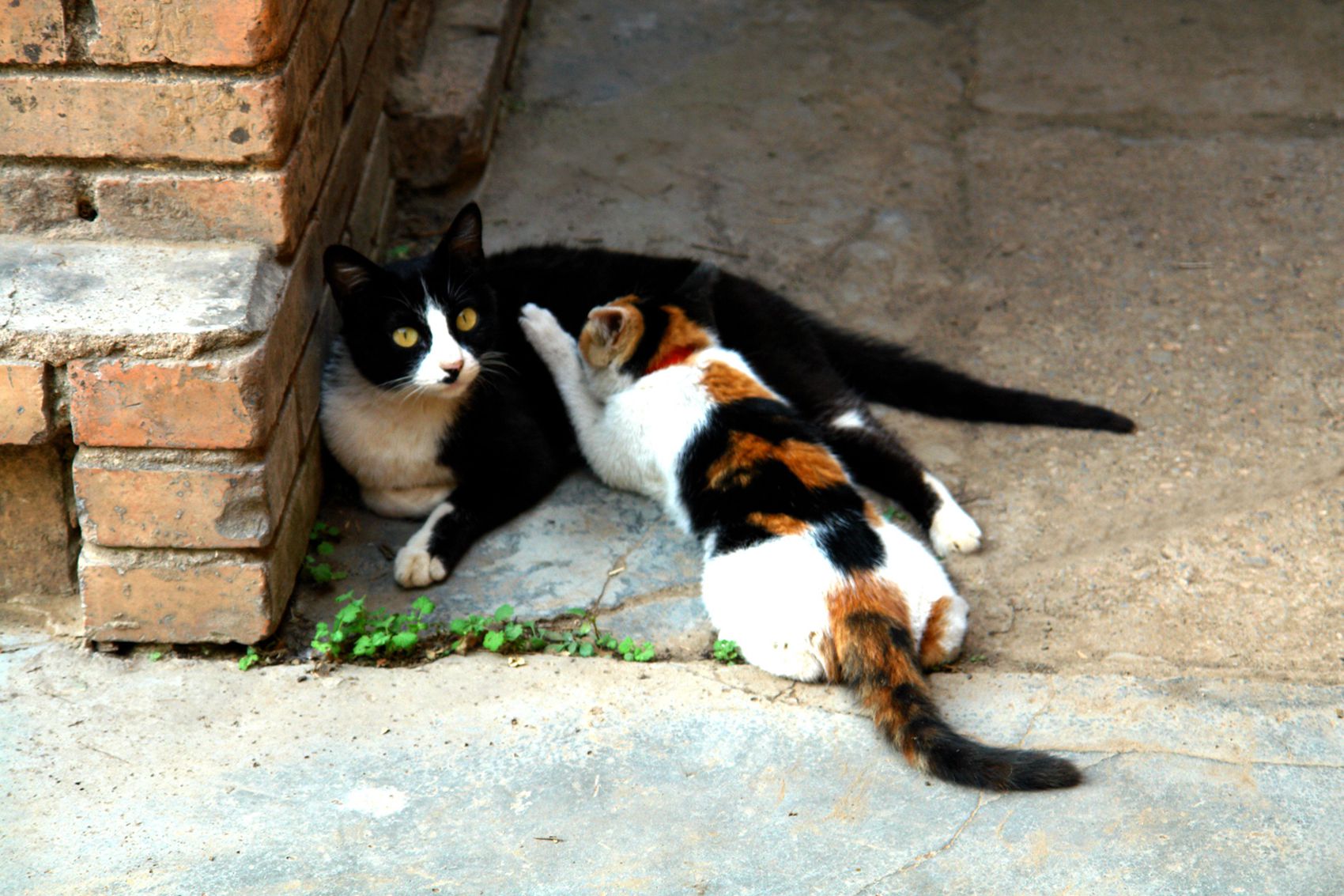 DSC08216__.jpg