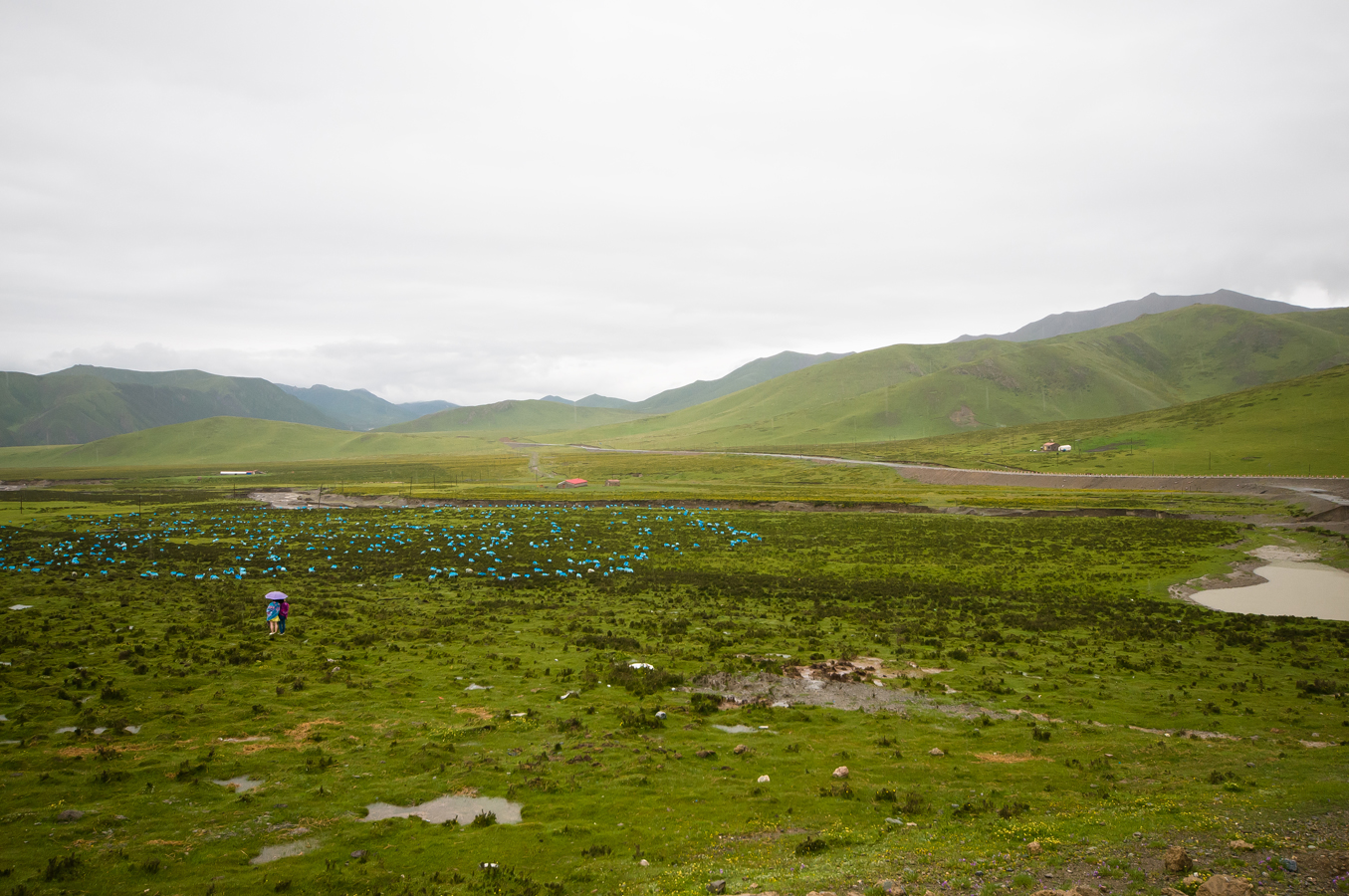 DSC_0964.jpg