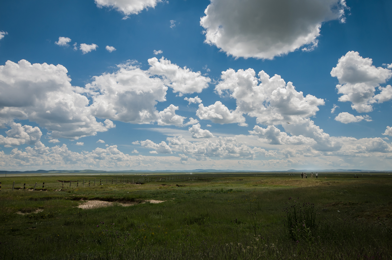DSC_1747.jpg