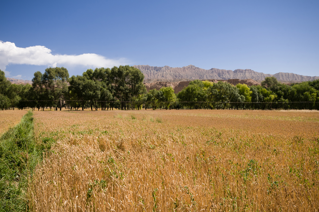 DSC_1590.jpg