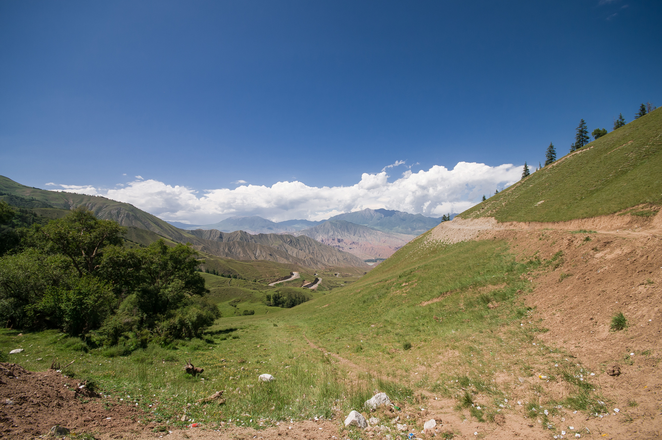 DSC_1611.jpg