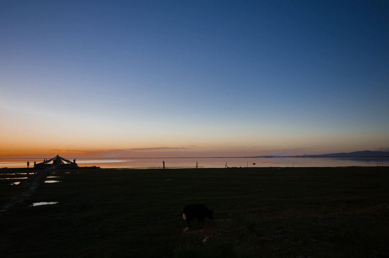 DSC_1477.jpg