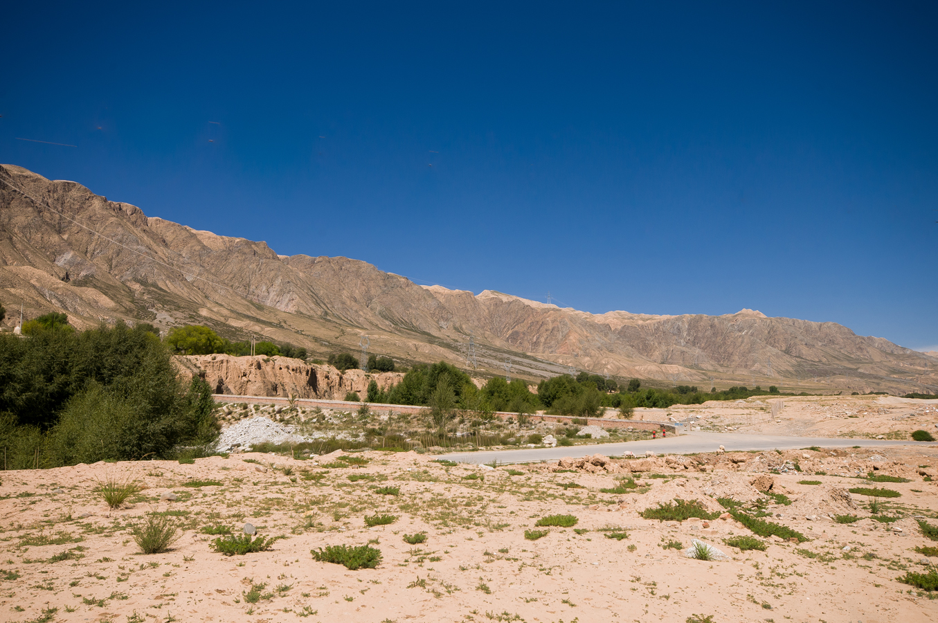 DSC_1580.jpg