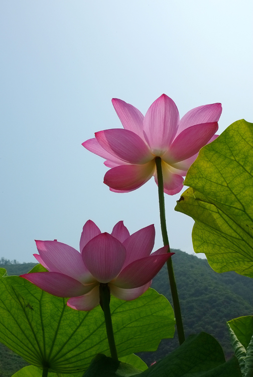 DSCF3950.JPG