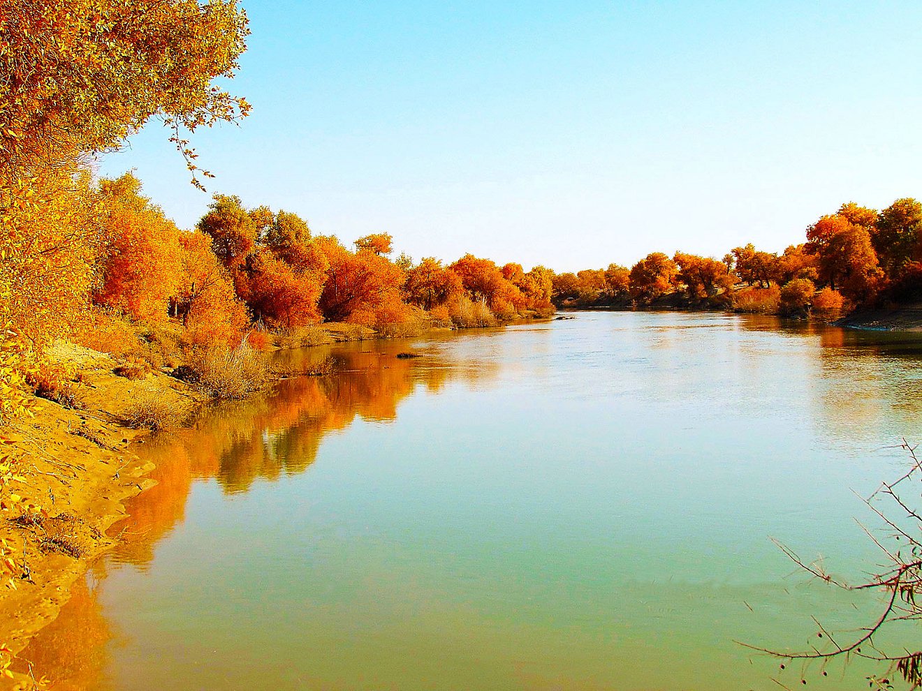 DPPAAA_00171huyang.jpg