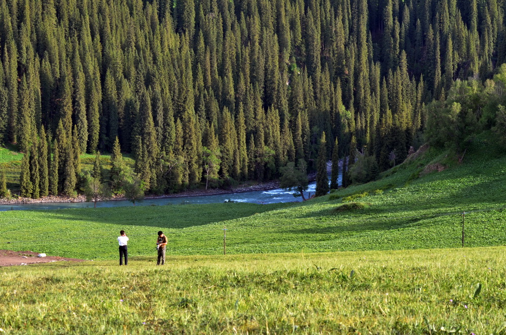 DSC_7791.JPG