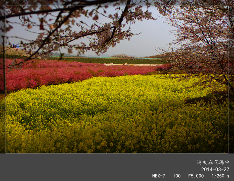 DSC07295_.jpg