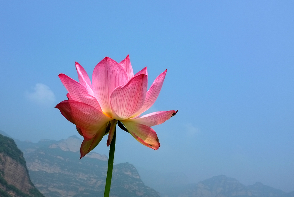 DSCF3947.JPG