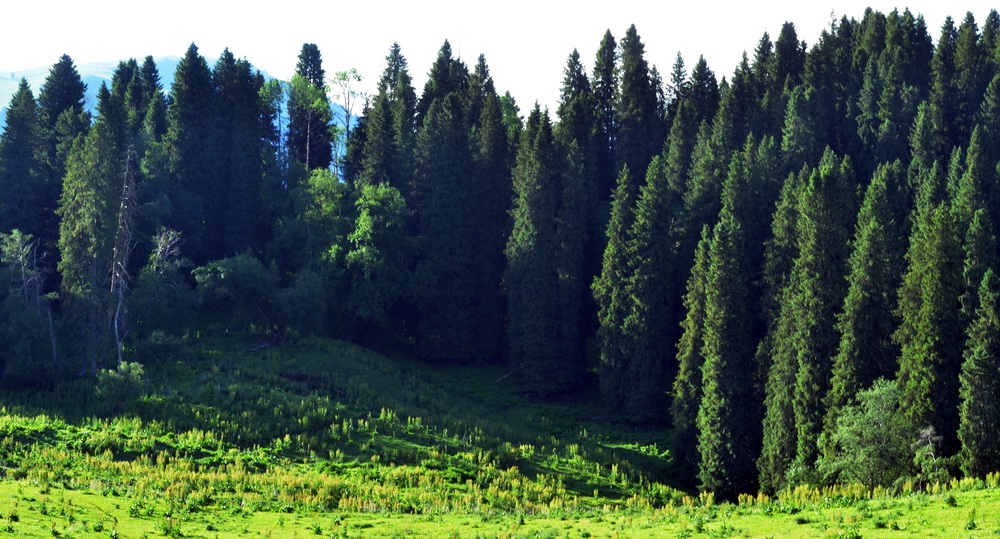 DSC_7863.JPG