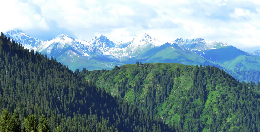 DSC_7868.JPG