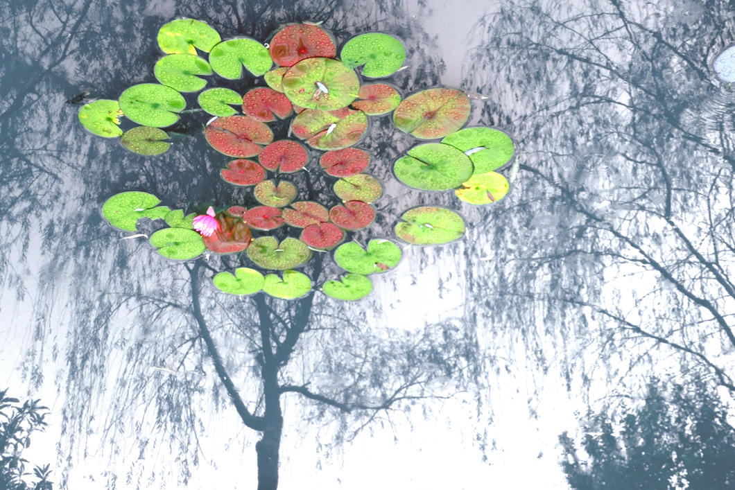 ҡǮ.jpg