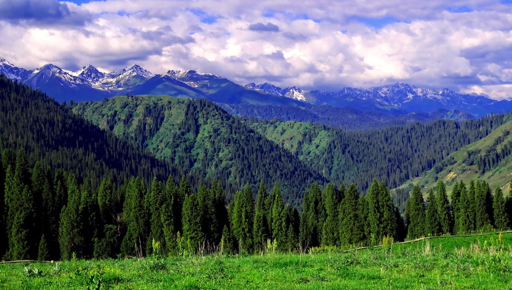 DSC01201.JPG