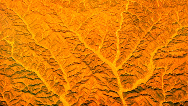 L1000425.jpg