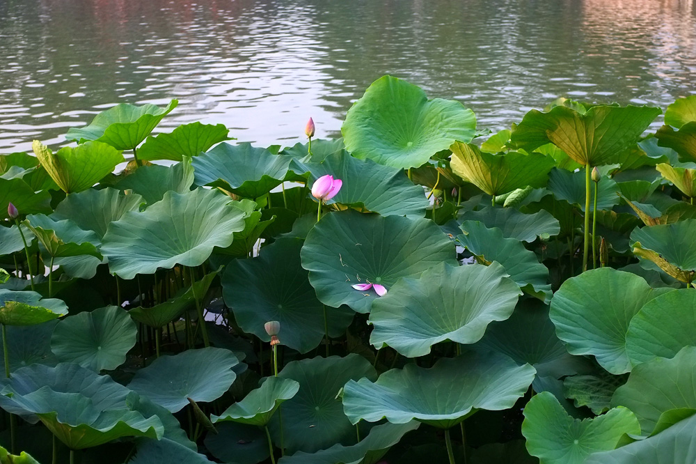 DSCF4035.JPG