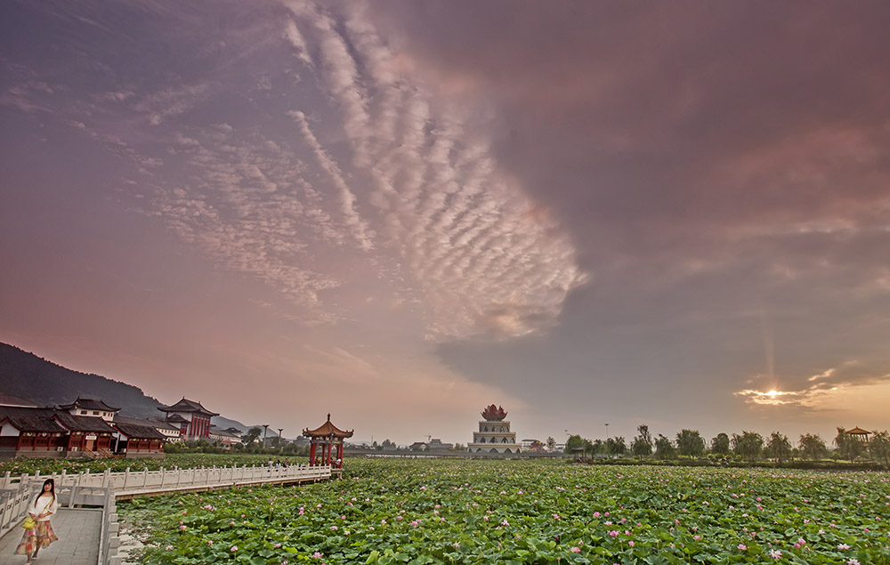 _B6A6362-0.jpg