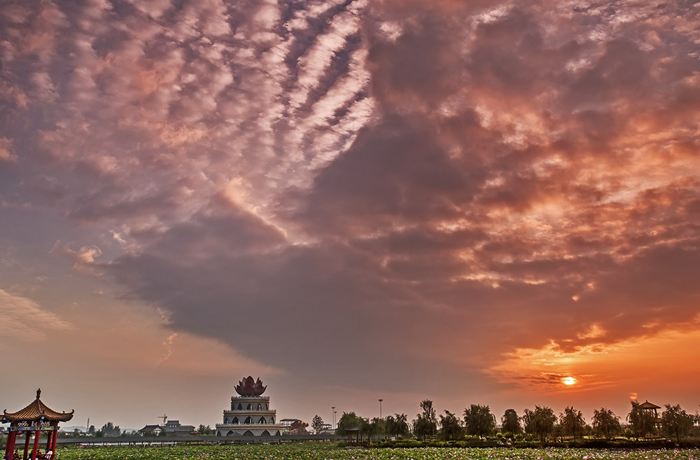 _B6A6419-0.jpg