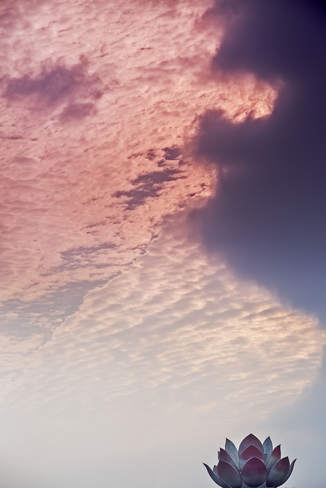 _B6A6098-0.jpg