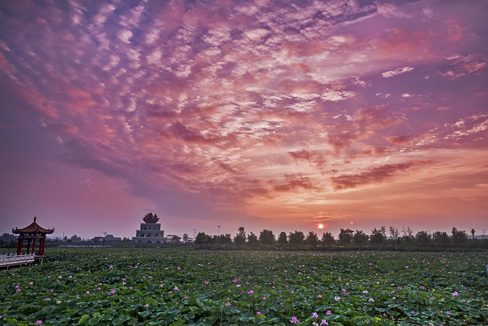 _B6A6442-0.jpg