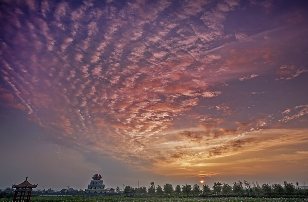 _B6A6447-0.jpg