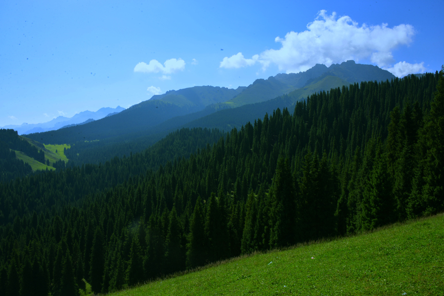 DSC_3137.jpg