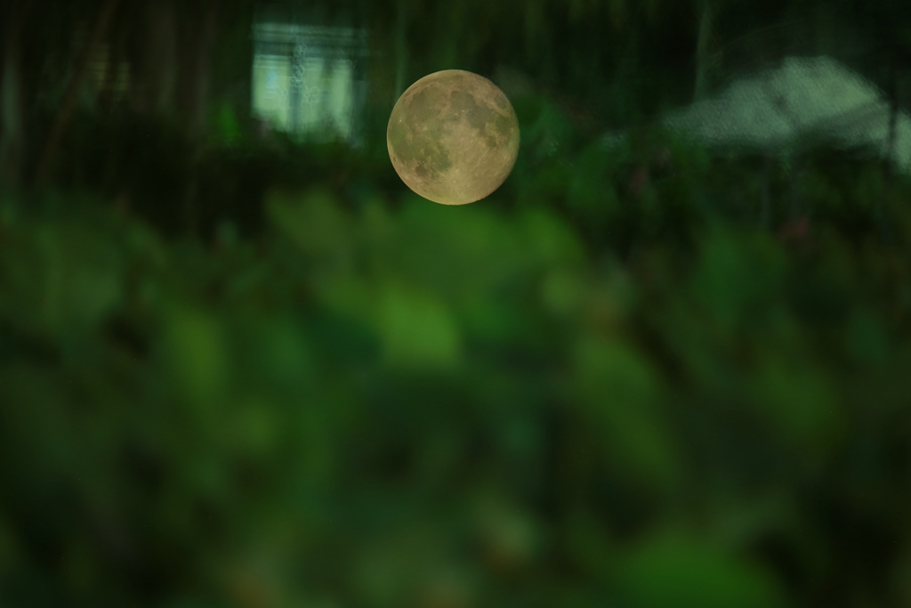 050C2037_.jpg